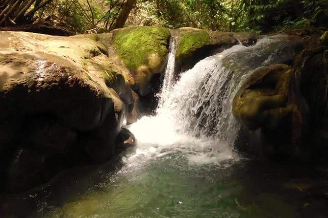 Mayfield Falls nature walk - Discovering Mayfield Falls: An Authentic Jamaican Experience