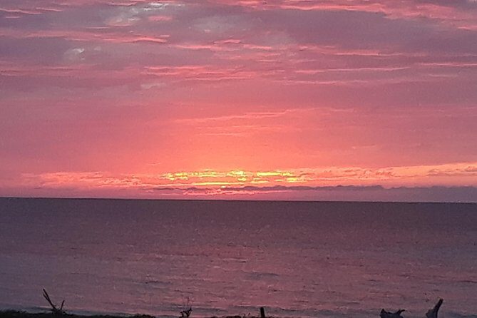 Mayfield Falls nature walk & Negril Hi-light Ricks Cafe - Who Will Love This Tour?