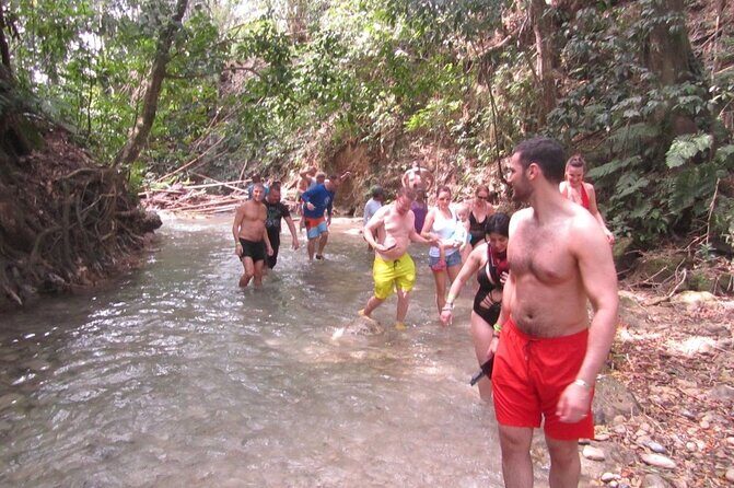 Mayfield Falls River Walk Private Tour - Who Should Consider This Tour?