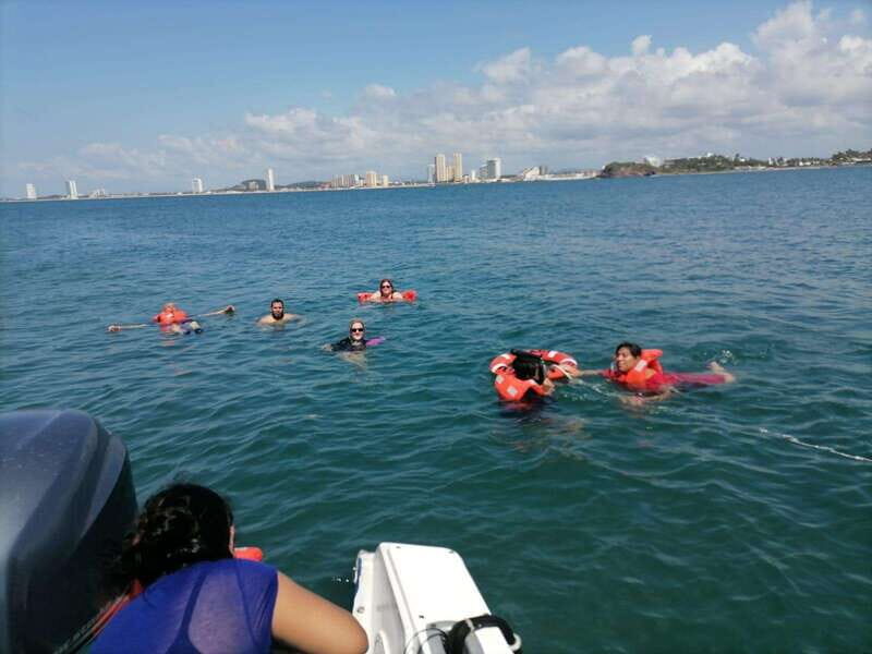 Mazatlan 3 Islands Snorkeling and Bird Watching Tour - An In-Depth Look at the Mazatlan 3 Islands Snorkeling and Bird Watching Tour