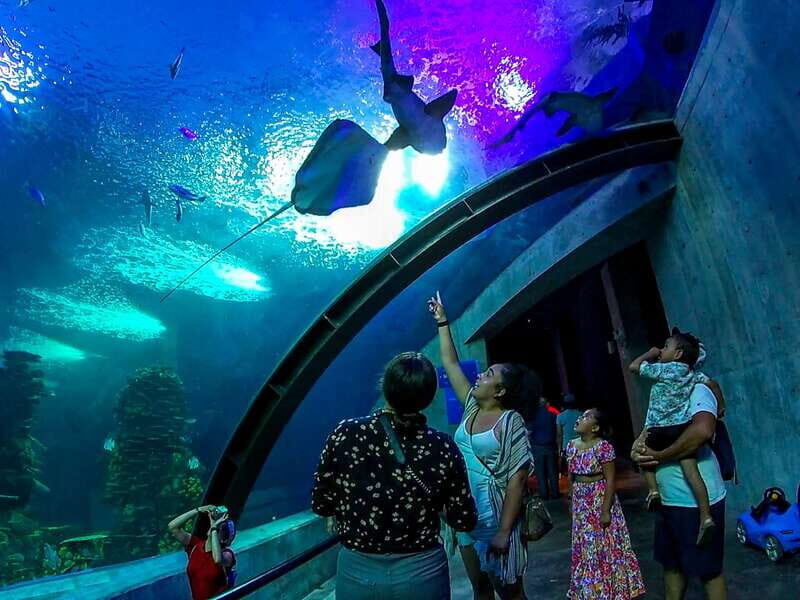 Mazatlan: Grand Aquarium Ticket and City Sightseeing Tour - Final Thoughts