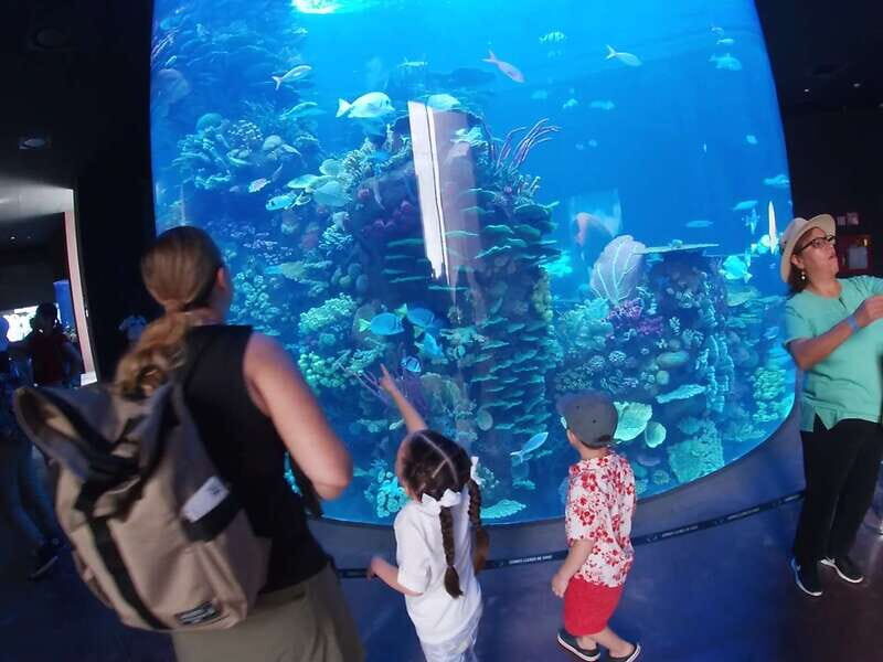Mazatlan: Grand Aquarium Ticket and City Sightseeing Tour - FAQ