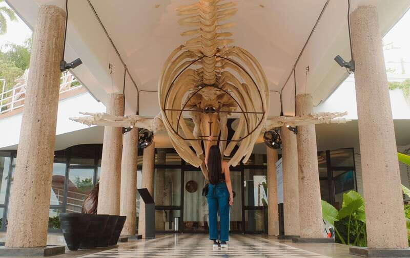 Mazatlán: MUNBA Interactive Ocean Museum Entry Ticket - A Balance of Value and Authenticity
