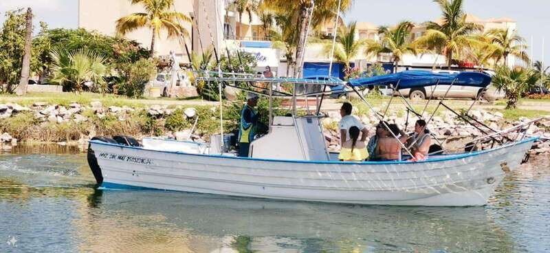 Mazatlan: Sea lions and snorkeling - In-Depth Review