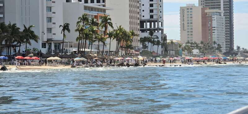 Mazatlan: Sea lions and snorkeling - FAQ