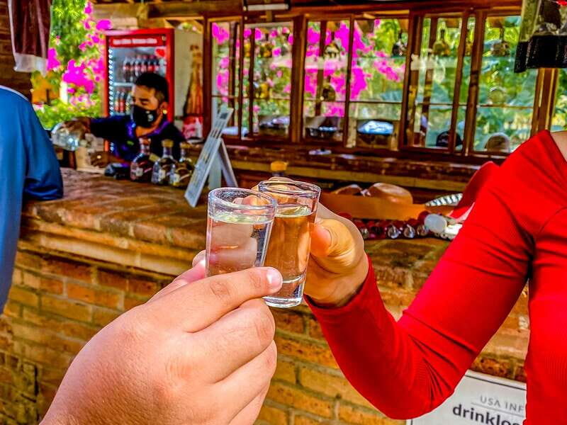 Mazatlán: Tequila Factory & Country Sightseeing - Final Thoughts