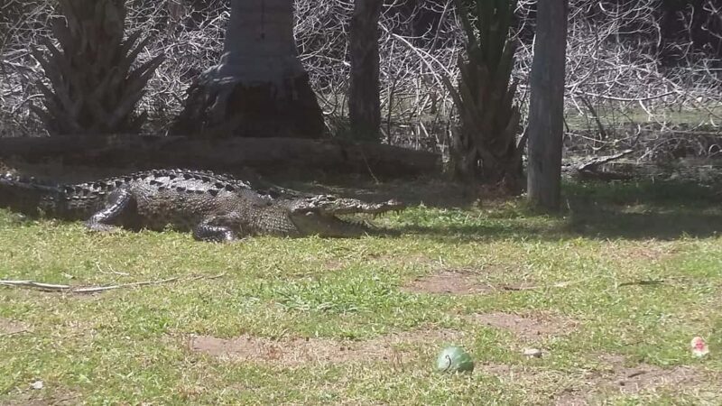 Mazunte-Ventanilla and Zipolite Ecotour - Getting to Know the Tour: A Practical Breakdown