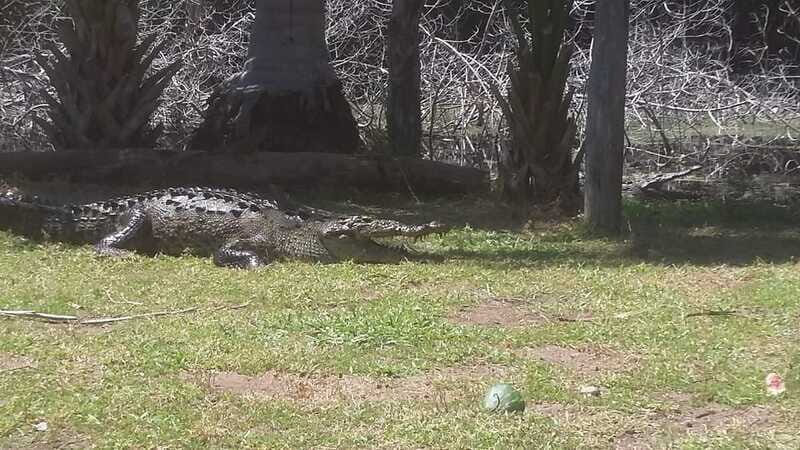 Mazunte-Ventanilla and Zipolite Ecotour - Who Should Consider This Tour?