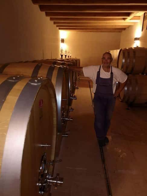 Mazzurega: Winery Tour with Tasting and Food Pairing - Summary: Is This Tour for You?