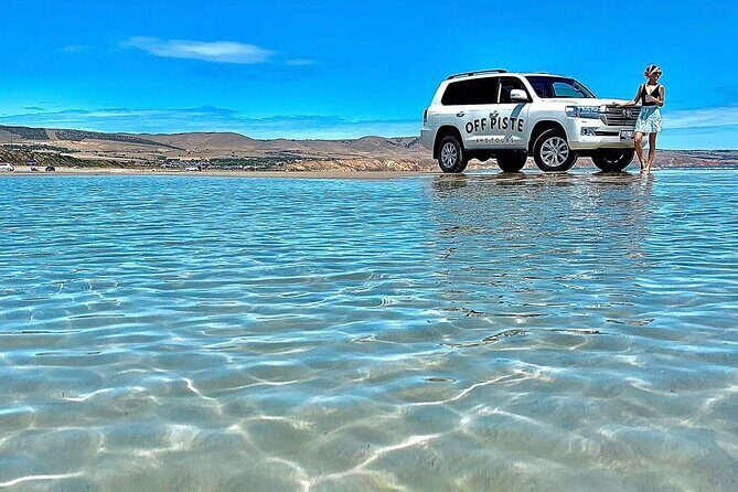 McLaren Vale 4x4 Premium Food and Wine Tour with Private Lunch - FAQs