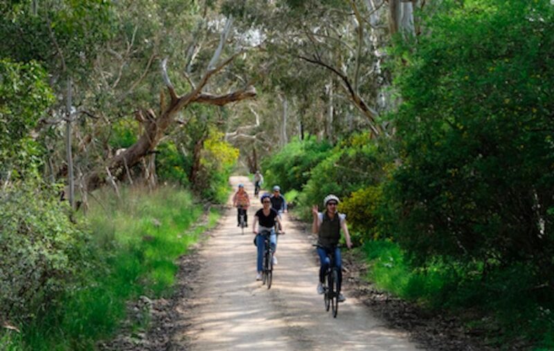 McLaren Vale: E-Bike Rental to Explore the Vineyards - Who Should Consider This Tour?