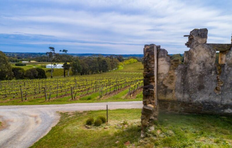 McLaren Vale: E-Bike Rental to Explore the Vineyards - Why This Tour Stands Out