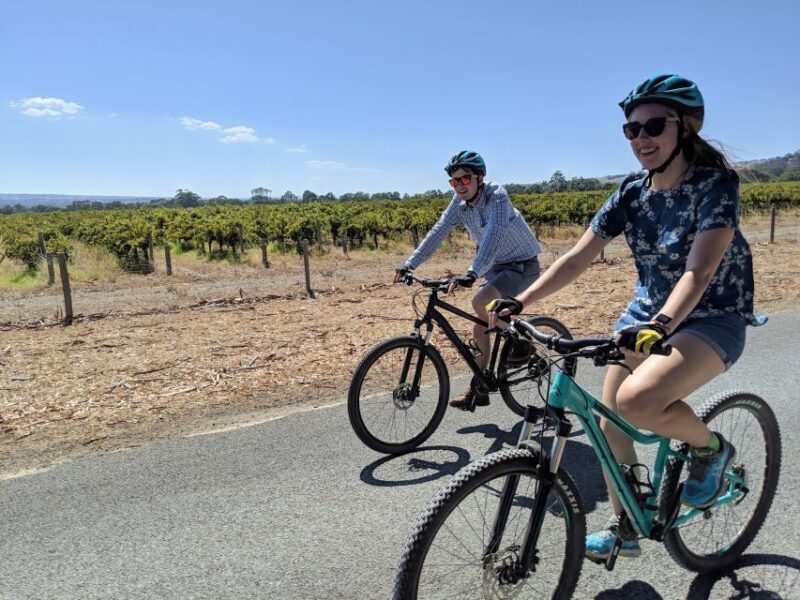 Mclaren Vale Hills Vines and Wines Bike Tour from Adelaide - Key Points