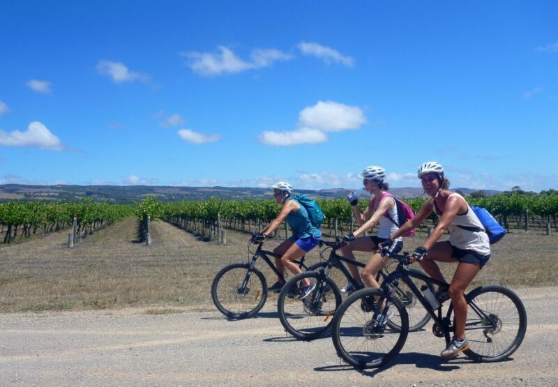 Mclaren Vale Hills Vines and Wines Bike Tour from Adelaide - Descent Down Willunga Hill and Into McLaren Vale