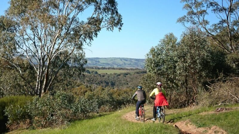 Mclaren Vale Hills Vines and Wines Bike Tour from Adelaide - Lunch and Afternoon Flexibility