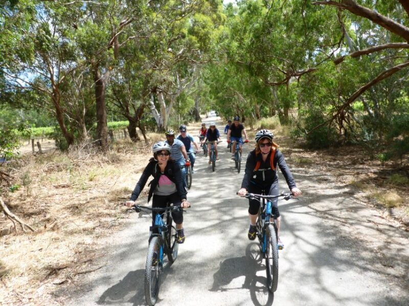 Mclaren Vale Hills Vines and Wines Bike Tour from Adelaide - Returning to Adelaide