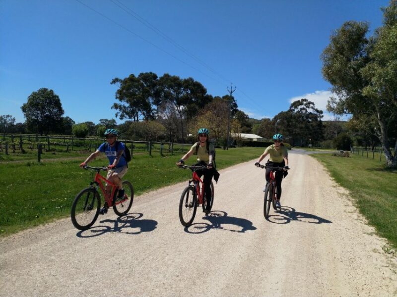 Mclaren Vale Hills Vines and Wines Bike Tour from Adelaide - Authentic Experiences and Real Feedback from Travelers