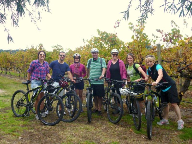 Mclaren Vale Hills Vines and Wines Bike Tour from Adelaide - Considerations and Tips