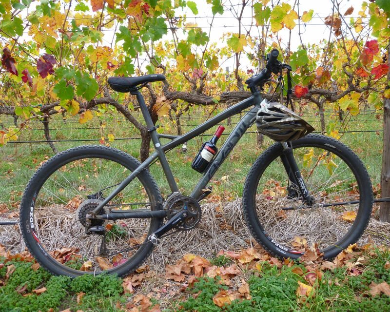 Mclaren Vale Hills Vines and Wines Bike Tour from Adelaide - Frequently Asked Questions