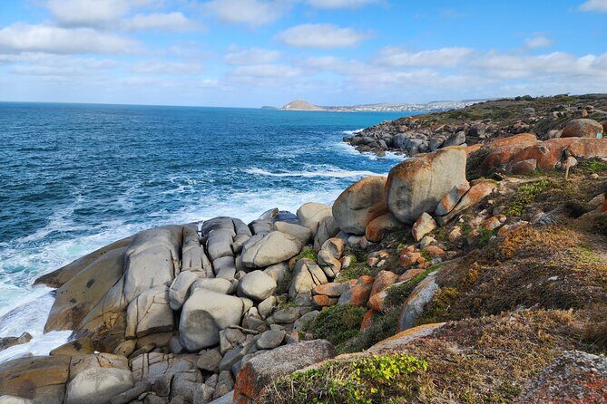 McLaren Vale, Port Elliot and Victor Harbor Minibus Tour - Final Thoughts