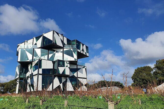 McLaren Vale Private Wine Tour - Introduction: A Taste of McLaren Vale’s Wine Country