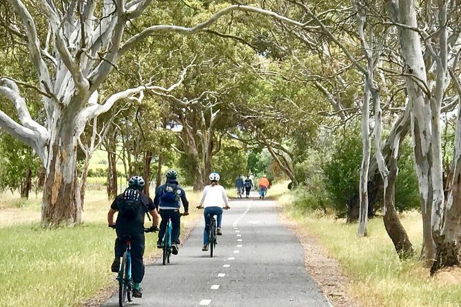 McLaren Vale Shiraz Trail Cycling Tour from Adelaide - Who This Tour Suits Best