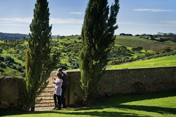 McLaren Vale Wine-Lover - Luxury Full Day Private Tour - The Sum Up