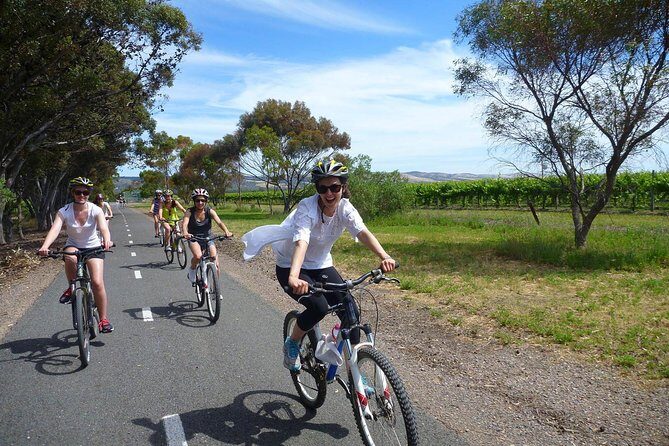 McLaren Vale Wine Tour by Bike - Experience McLaren Vale on Two Wheels: A Practical and Authentic Wine Tour