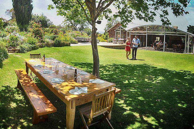 McLaren Vale Winery Small Group Tour with Wine Tasting and Lunch - Experience McLaren Vale on a Small-Group Winery Tour
