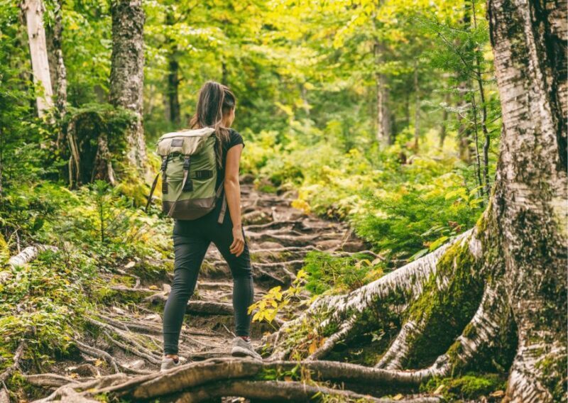 Mcleodganj Nature Trek (3 Hours Guided Walking Tour) - Exploring the Natural and Cultural Highlights