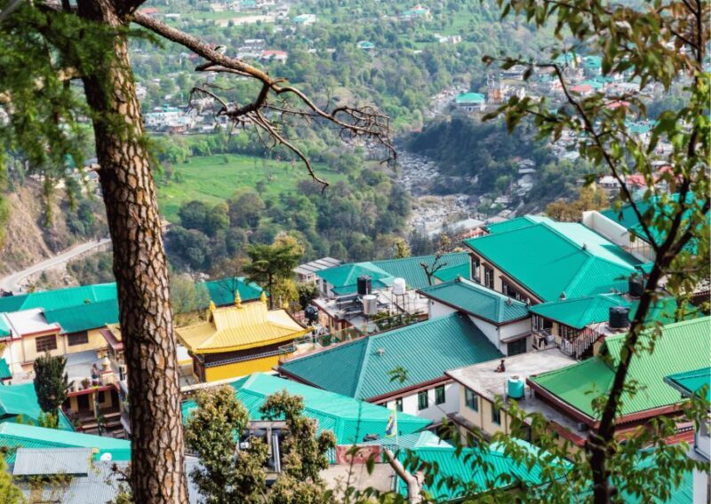 Mcleodganj Nature Trek (3 Hours Guided Walking Tour) - The Ideal Traveler
