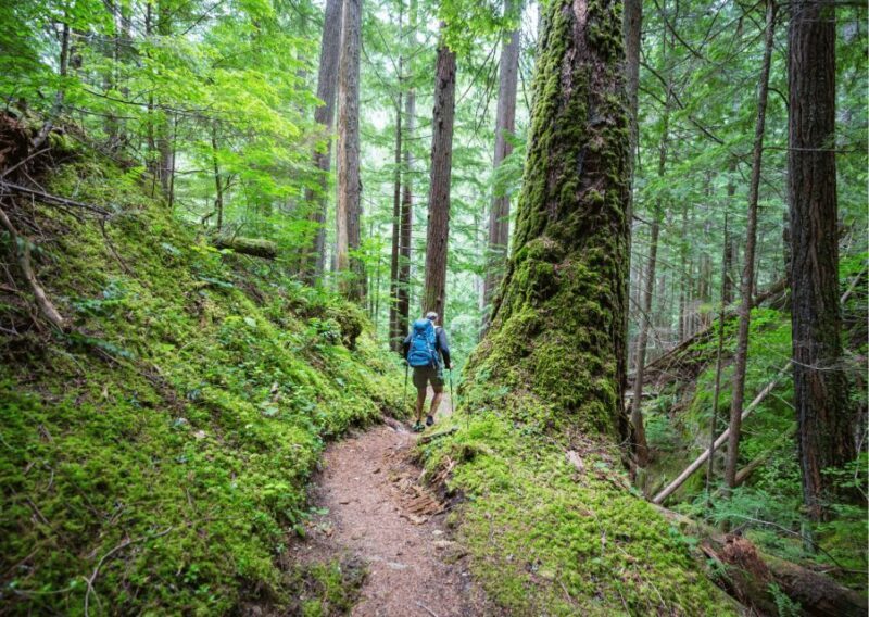 Mcleodganj Nature Trek (3 Hours Guided Walking Tour) - The Sum Up