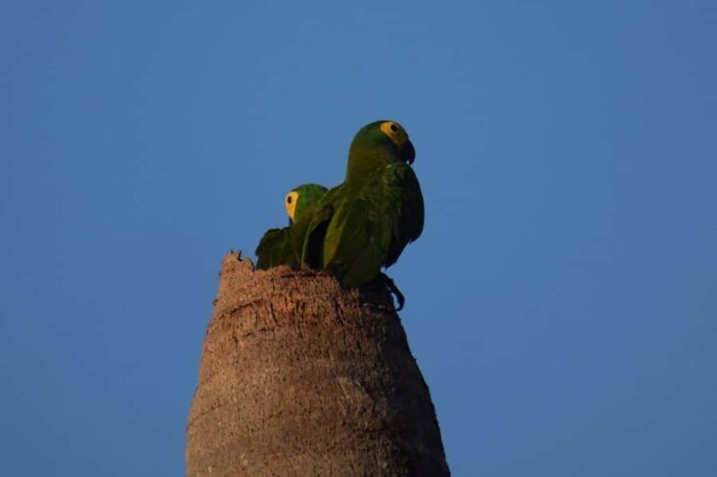 MDD: Yacumama Lake and Piranha fishing - The Sum Up: Is It Worth It?