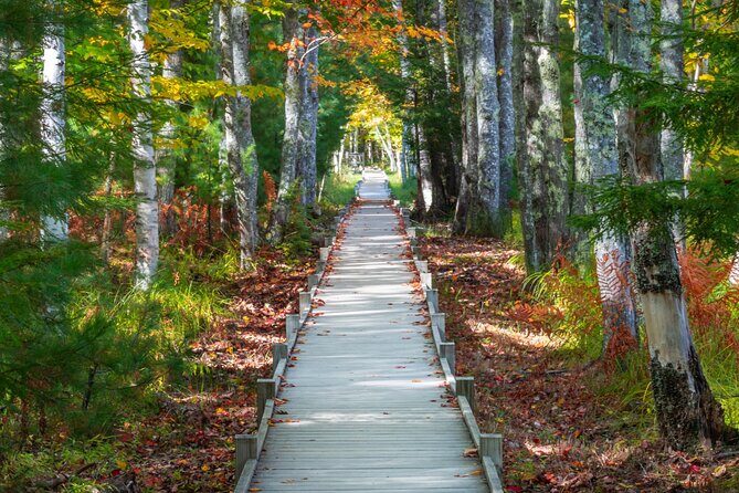 MDI Private Discovery Tour - Explore Beyond Acadia (five hours) - A Closer Look at the Itinerary
