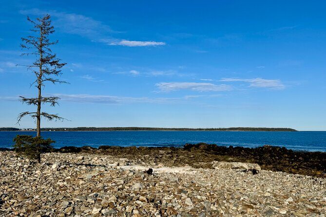 MDI Private Discovery Tour - Explore Beyond Acadia (five hours) - The Sum Up