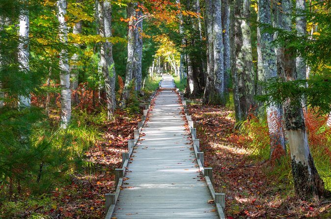 MDI Private Discovery Tour - Explore Beyond Acadia (five hours) - FAQs