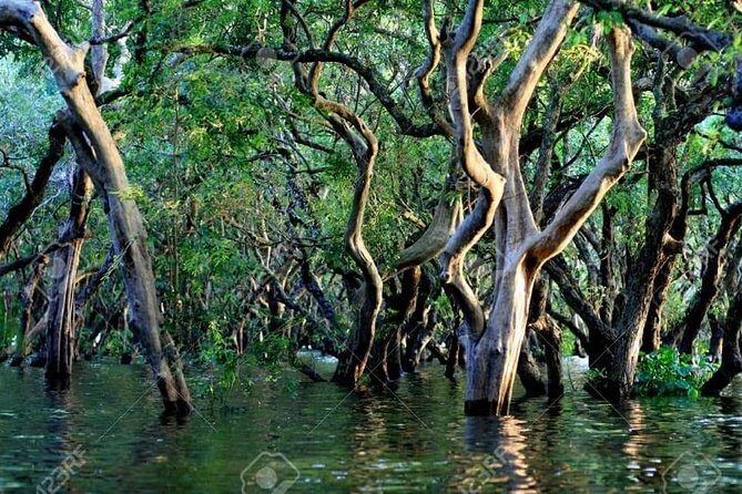 Mechrey Floating Village Tour & Mangrove from Siem Reap - Who Will Love This Tour?