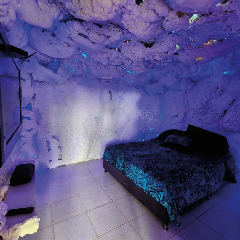 Medellin: 2-Day Coffee Farm Trip w/Horse Ride & Forest Cabin - Medellin: 2-Day Coffee Farm Trip with Horse Ride & Forest Cabin