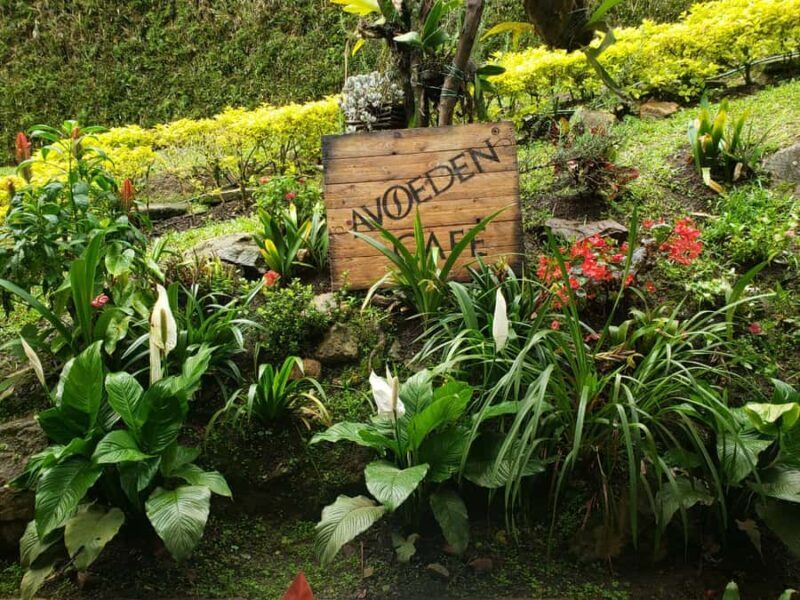 Medellin: Avoeden Café Coffee Brewing Workshop - Final Thoughts