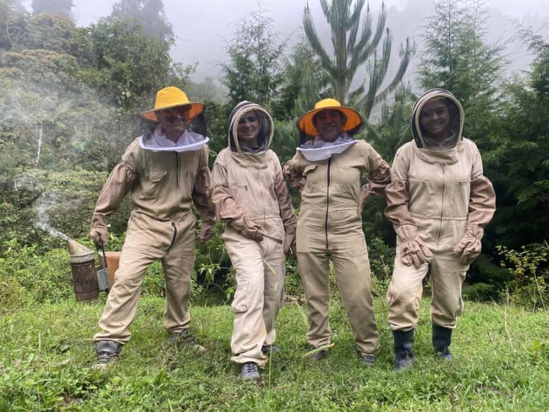 MEDELLÍN: Beekeeping Experience in coffee farm - Key Points