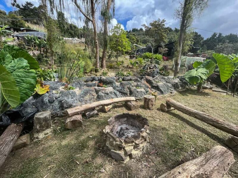 Medellin birding Arví Forest Cabin - Who Should Consider This Experience?