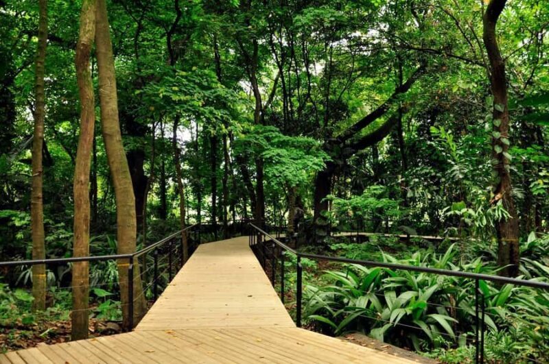 Medellín: Botanical Garden and Arvi Park City Tour - Key Points