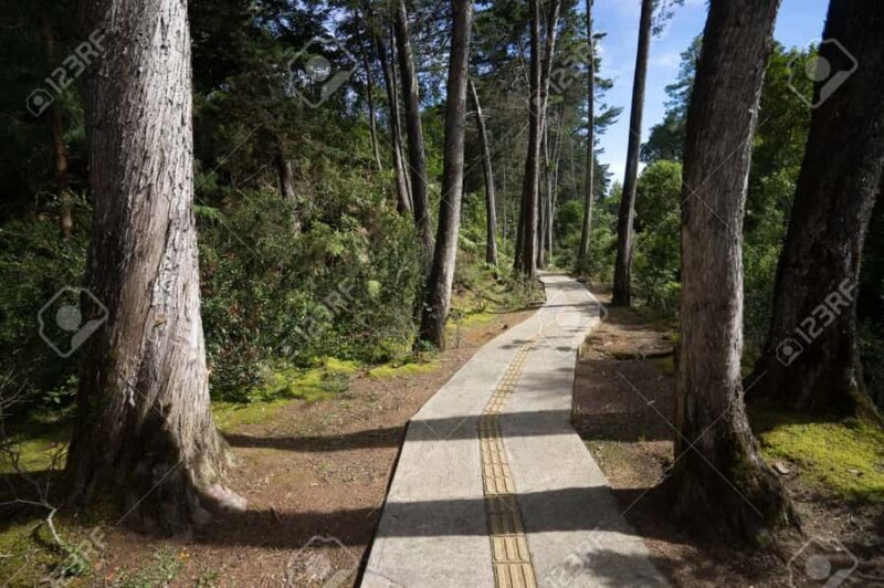 Medellín: Botanical Garden and Arvi Park City Tour - Final Thoughts