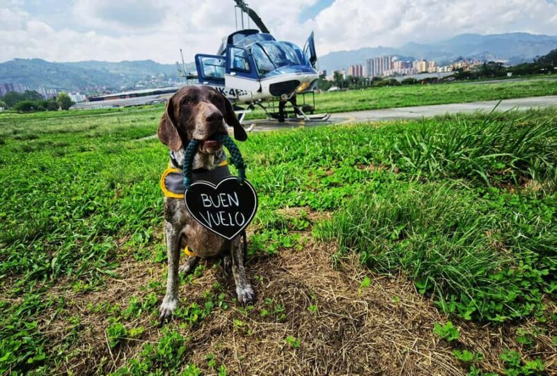 Medellin by Helicopter - Key Points