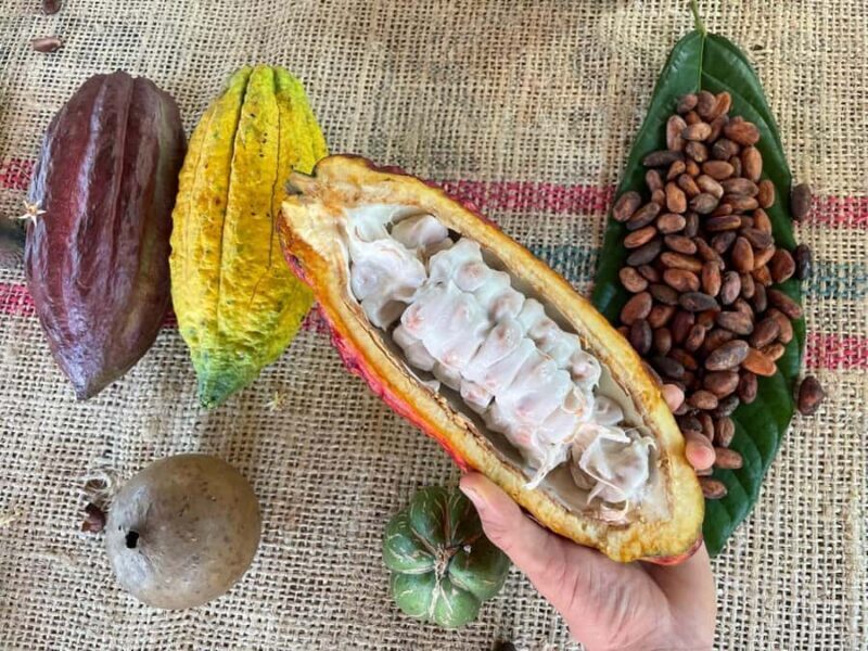 MEDELLÍN: CHOCOLATE TOUR & EXFOLIATION IN BEAUTIFUL RIVER! - A Detailed Look at the Chocolate & River Experience