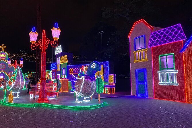 Medellin Christmas Lighting Private Tour - Key Points