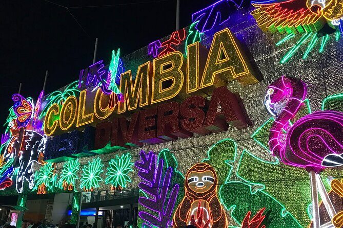 Medellin Christmas Lighting Private Tour - Who Should Consider This Tour?