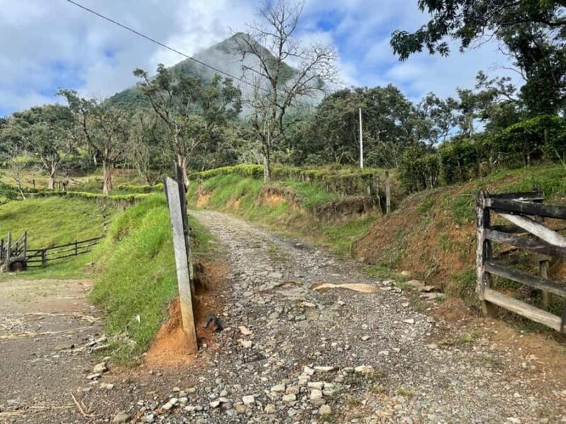 MEDELLÍN: CLIMB AND CONQUER CERRO TUSA NATURAL PYRAMID - Final Thoughts: Who Should Consider This?