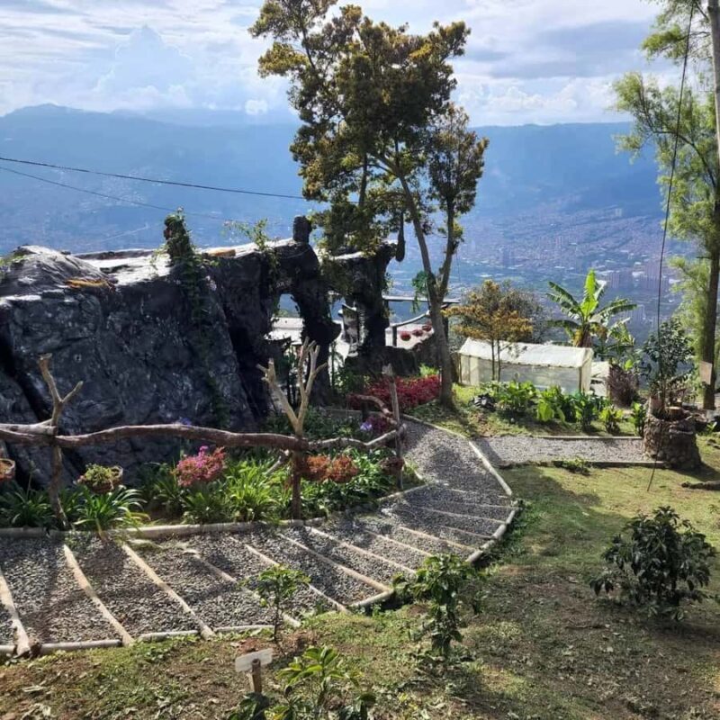 Medellin: Coffee Farm and Barista Workshop Experience - Key Points