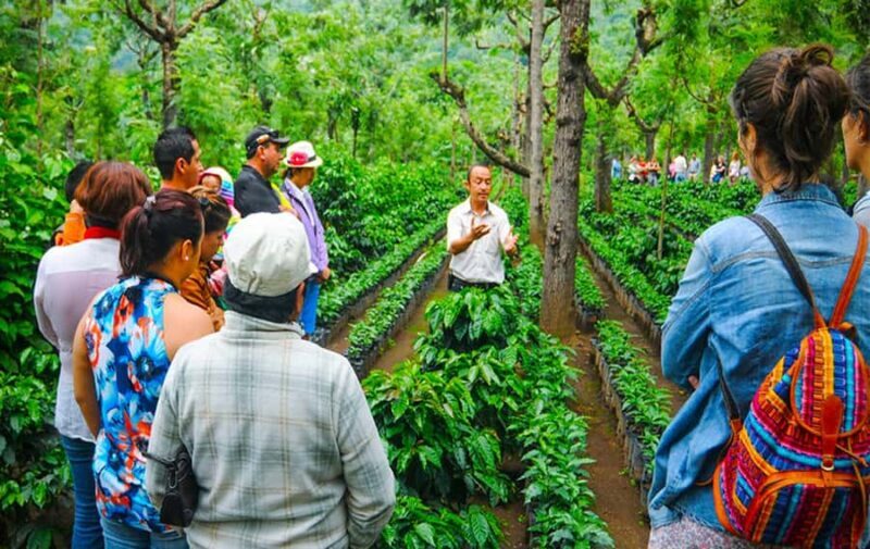 Medellin: Coffee Farm Tour with Tasting and Lunch - Key Points